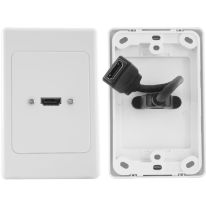 HDMI Wall Plate with Dongle